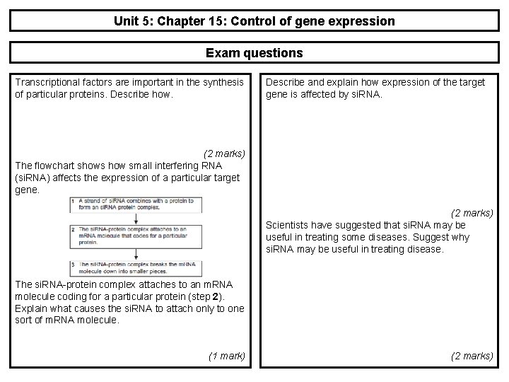 Unit 5: Chapter 15: Control of gene expression Exam questions Transcriptional factors are important