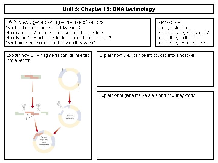 Unit 5: Chapter 16: DNA technology 16. 2 In vivo gene cloning – the