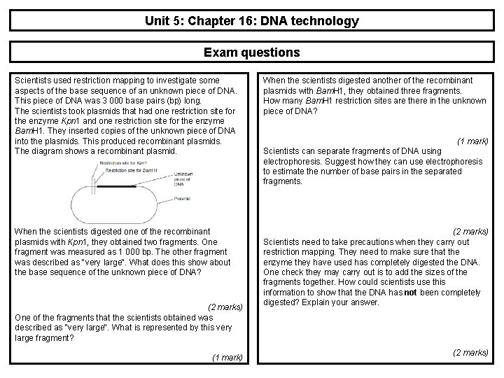 Unit 5: Chapter 16: DNA technology Exam questions Scientists used restriction mapping to investigate