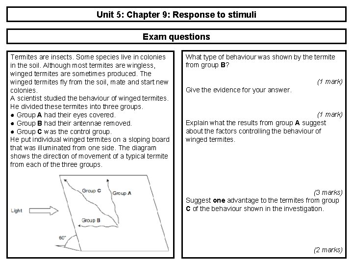 Unit 5: Chapter 9: Response to stimuli Exam questions Termites are insects. Some species