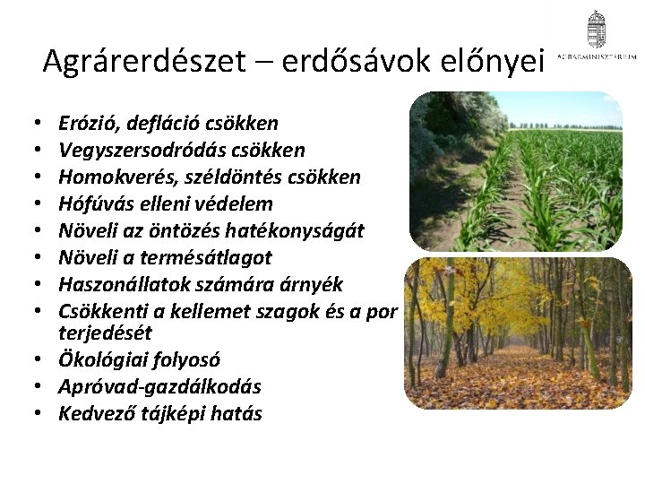 Agrárerdészet – erdősávok előnyei Erózió, defláció csökken Vegyszersodródás csökken Homokverés, széldöntés csökken Hófúvás elleni Agrárerdészet – erdősávok előnyei Erózió, defláció csökken Vegyszersodródás csökken Homokverés, széldöntés csökken Hófúvás elleni