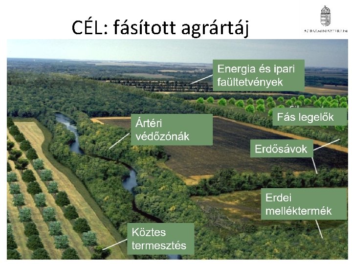 CÉL: fásított agrártáj CÉL: fásított agrártáj