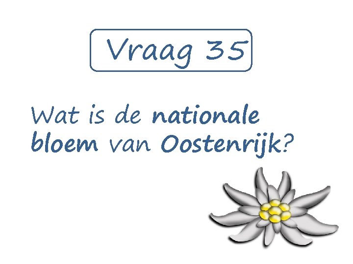 Vraag 35 Wat is de nationale bloem van Oostenrijk? 