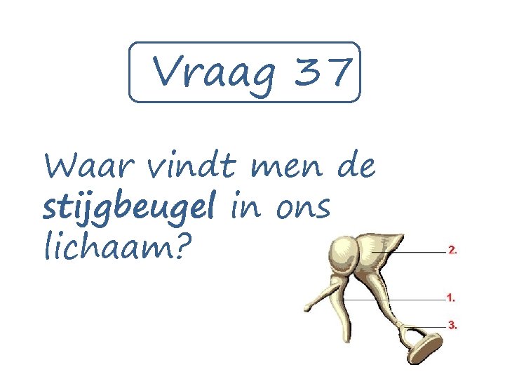 Vraag 37 Waar vindt men de stijgbeugel in ons lichaam? 