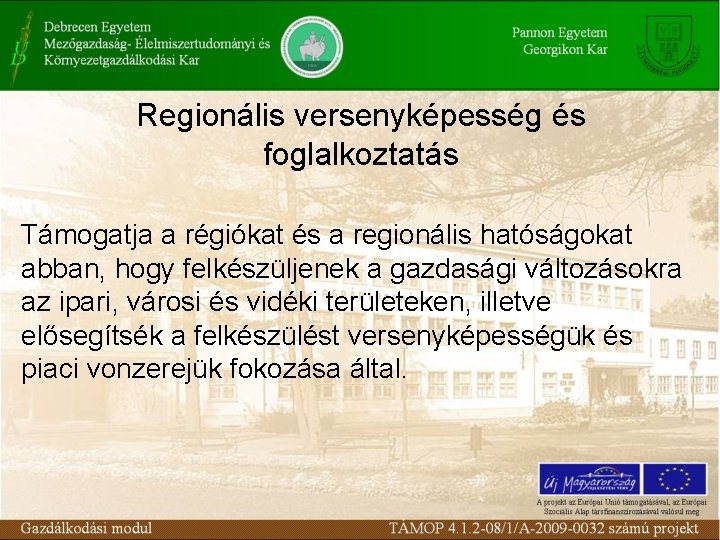 Regionális versenyképesség és foglalkoztatás Támogatja a régiókat és a regionális hatóságokat abban, hogy felkészüljenek