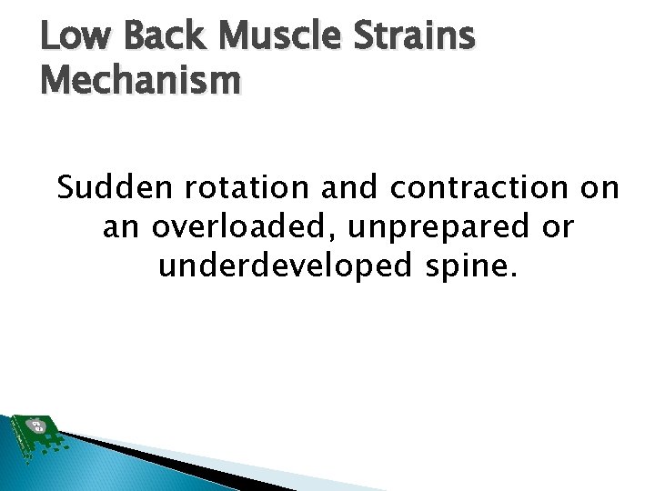 Low Back Muscle Strains Mechanism Sudden rotation and contraction on an overloaded, unprepared or