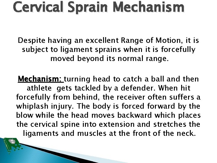 Cervical Sprain Mechanism Despite having an excellent Range of Motion, it is subject to