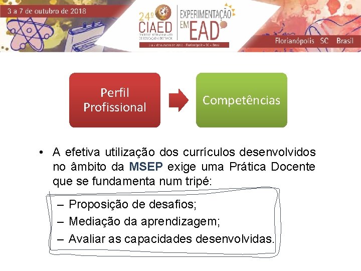 Perfil Profissional Competências • A efetiva utilização dos currículos desenvolvidos no âmbito da MSEP