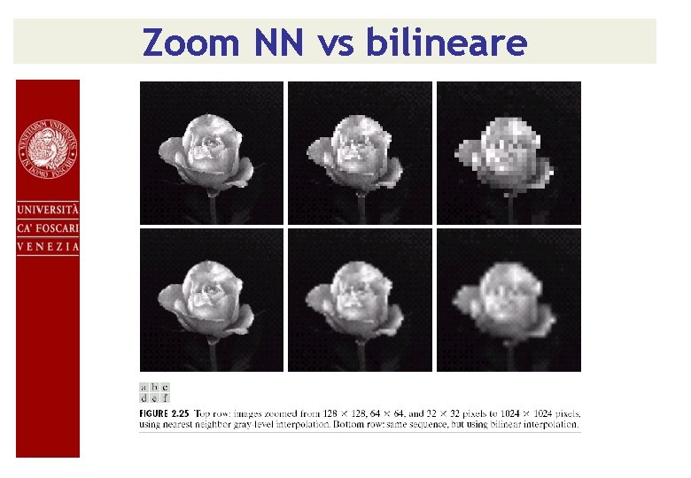 Zoom NN vs bilineare 