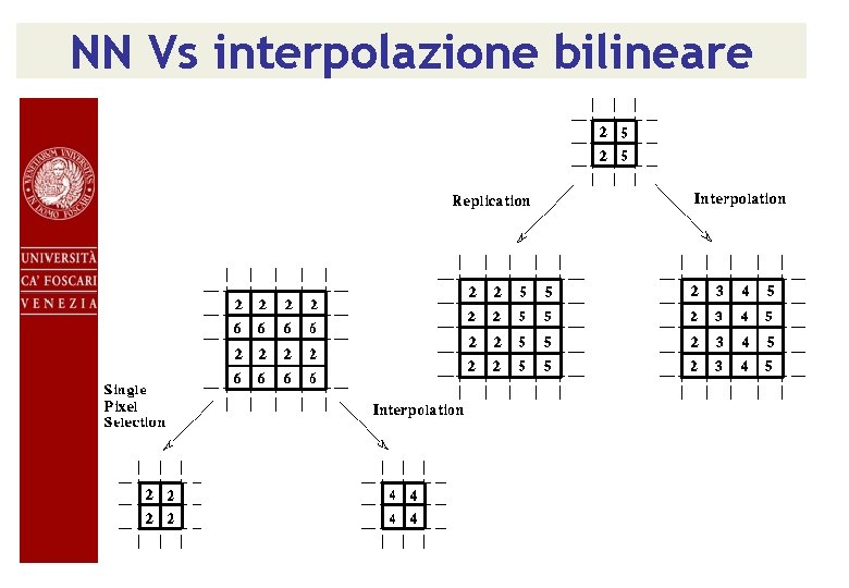 NN Vs interpolazione bilineare 