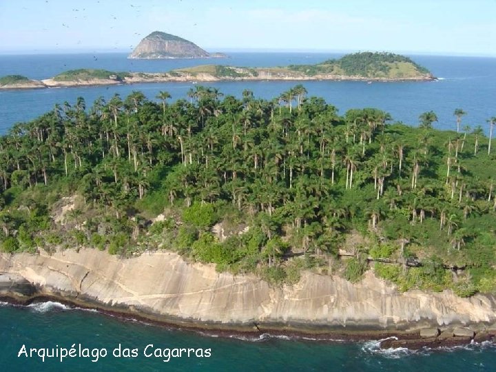 Arquipélago das Cagarras 