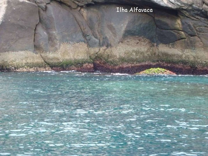 Ilha Alfavaca 