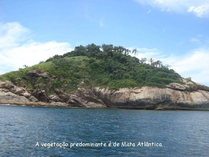 A vegetação predominante é de Mata Atlântica. 