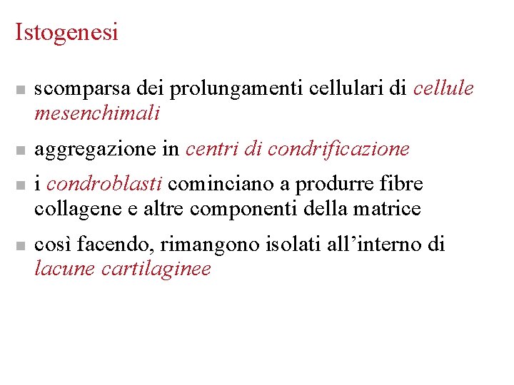 Istogenesi n n scomparsa dei prolungamenti cellulari di cellule mesenchimali aggregazione in centri di