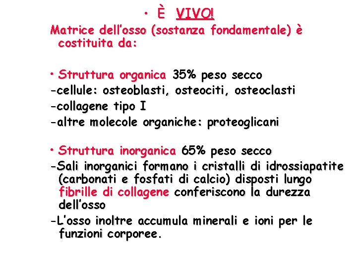  • È VIVO! Matrice dell’osso (sostanza fondamentale) è costituita da: • Struttura organica