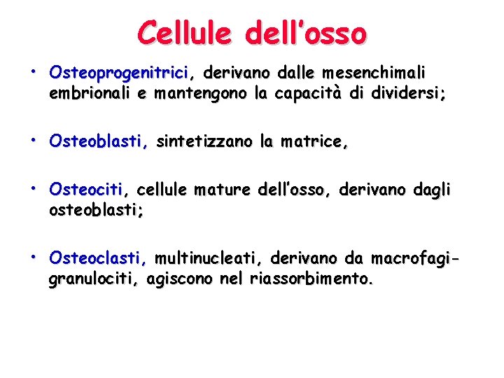 Cellule dell’osso • Osteoprogenitrici, derivano dalle mesenchimali embrionali e mantengono la capacità di dividersi;