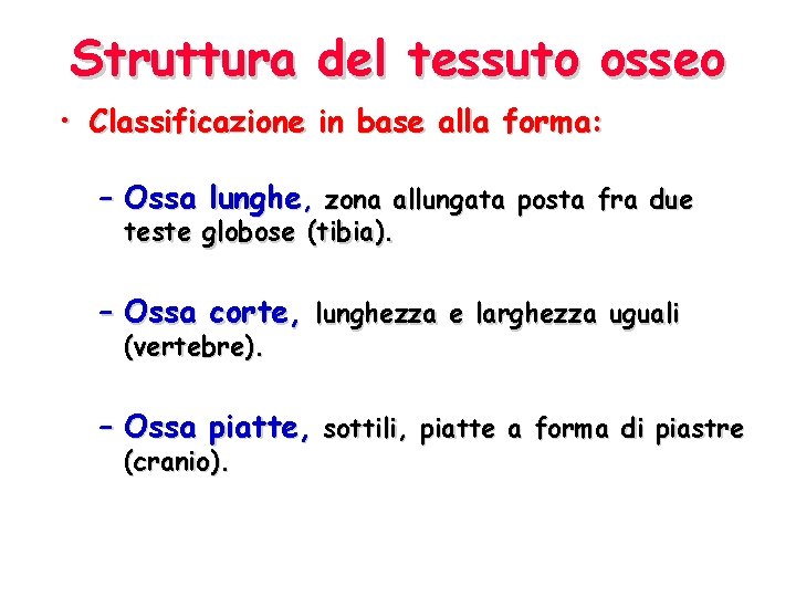 Struttura del tessuto osseo • Classificazione in base alla forma: – Ossa lunghe, zona