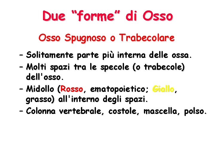 Due “forme” di Osso Spugnoso o Trabecolare – Solitamente parte più interna delle ossa.