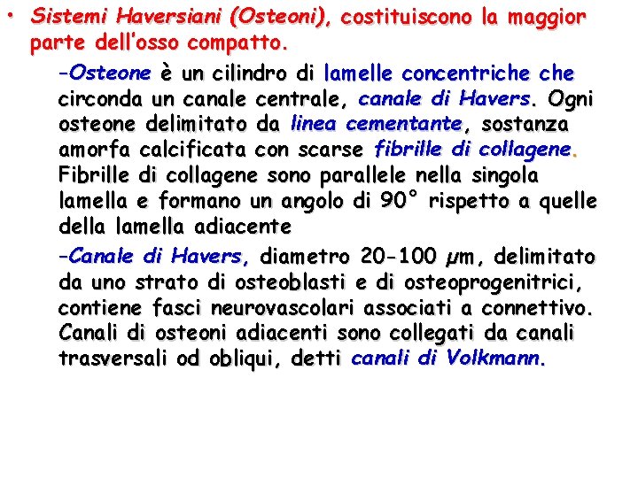  • Sistemi Haversiani (Osteoni), costituiscono la maggior parte dell’osso compatto. –Osteone è un