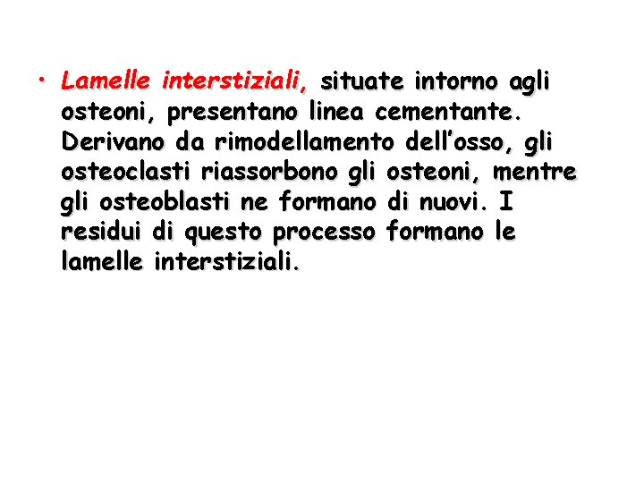  • Lamelle interstiziali, situate intorno agli osteoni, presentano linea cementante. Derivano da rimodellamento