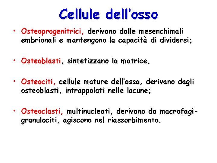 Cellule dell’osso • Osteoprogenitrici, derivano dalle mesenchimali embrionali e mantengono la capacità di dividersi;