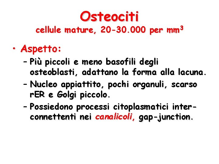 Osteociti cellule mature, 20 -30. 000 per mm 3 • Aspetto: – Più piccoli