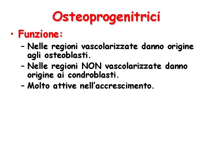 Osteoprogenitrici • Funzione: – Nelle regioni vascolarizzate danno origine agli osteoblasti. – Nelle regioni