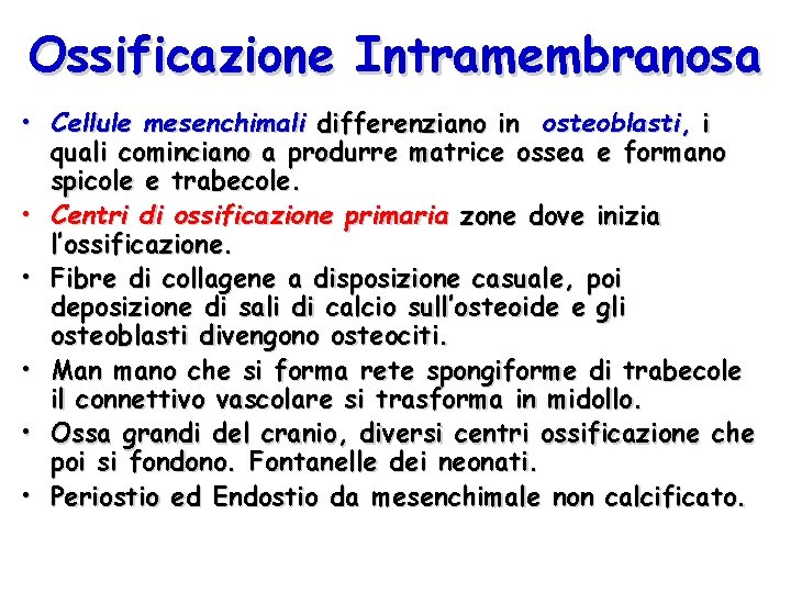 Ossificazione Intramembranosa • Cellule mesenchimali differenziano in osteoblasti, i quali cominciano a produrre matrice