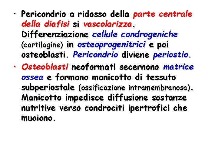  • Pericondrio a ridosso della parte centrale della diafisi si vascolarizza. Differenziazione cellule