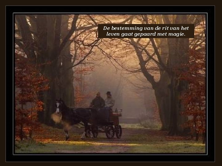 De bestemming van de rit van het leven gaat gepaard met magie. 