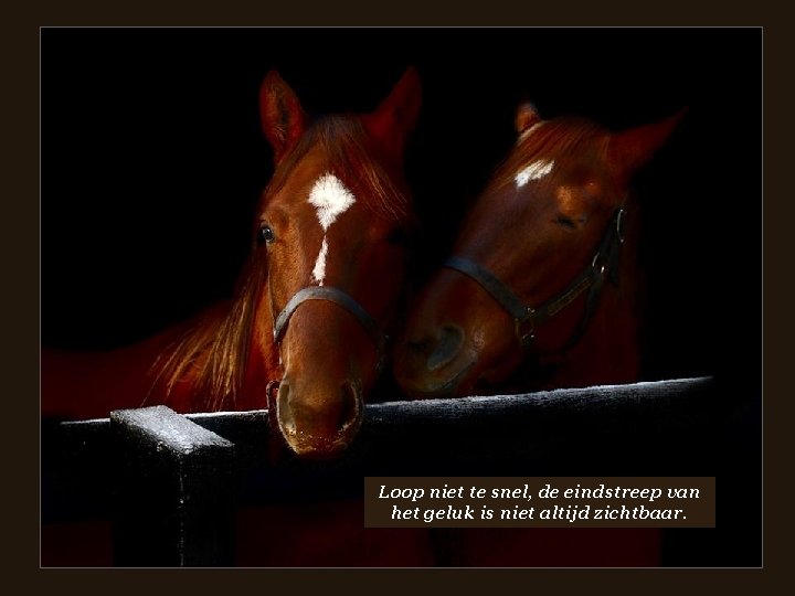  • • Loop niet te snel, de eindstreep van het geluk is niet