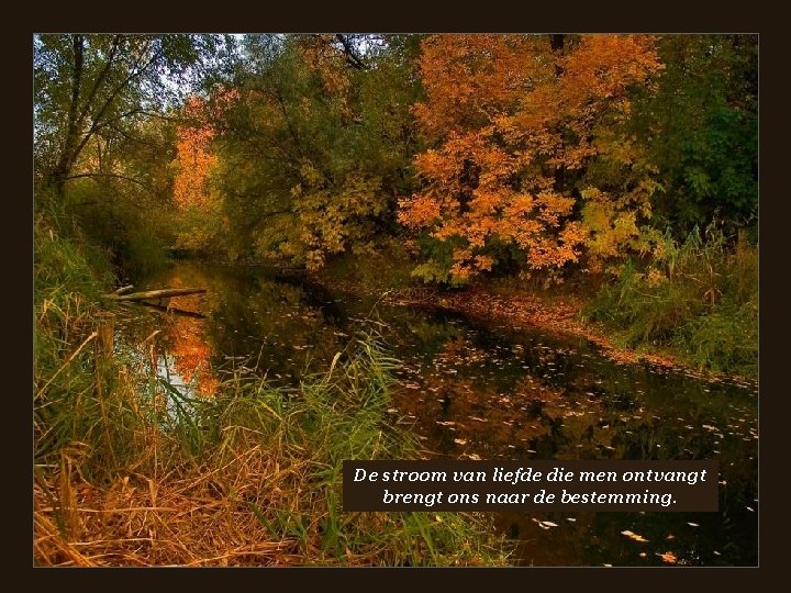  • De stroom van liefde die men ontvangt brengt ons naar de bestemming.