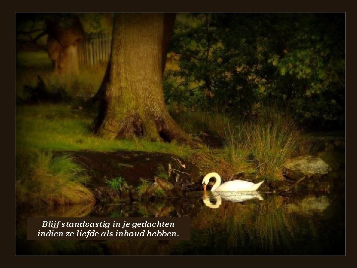  • Blijf standvastig in je gedachten indien ze liefde als inhoud hebben. 