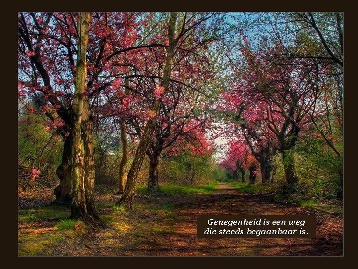  • Genegenheid is een weg die steeds begaanbaar is. 