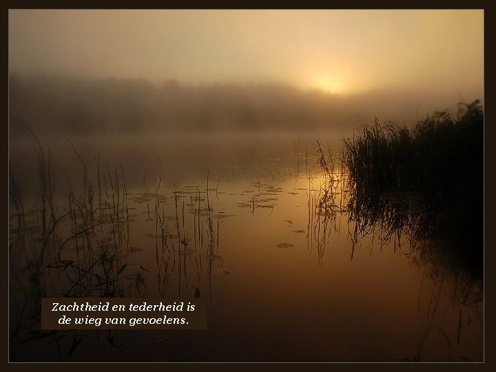  • Zachtheid en tederheid is de wieg van gevoelens. 