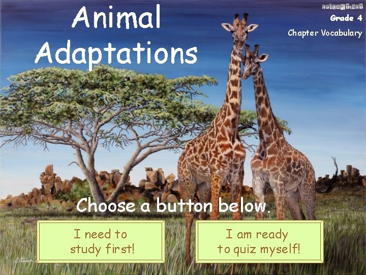 Animal Adaptations Grade 4 Chapter Vocabulary Choose a button below. I need to study