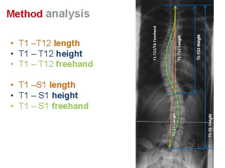 Method analysis • T 1 –T 12 length • T 1 – T 12 Method analysis • T 1 –T 12 length • T 1 – T 12