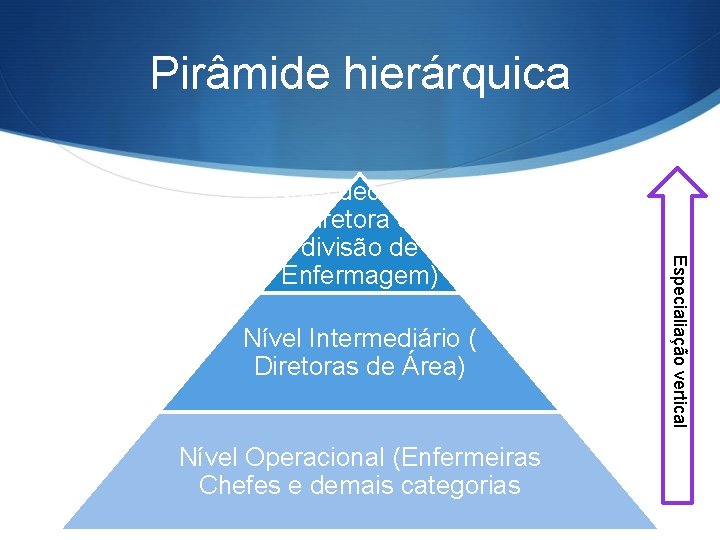 Pirâmide hierárquica Nível Intermediário ( Diretoras de Área) Nível Operacional (Enfermeiras Chefes e demais