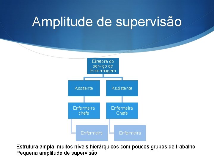 Amplitude de supervisão Diretora do serviço de Enfermagem Assitente Assistente Enfermeira chefe Enfermeira Chefe