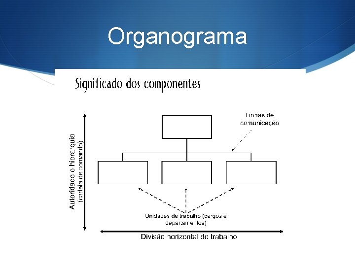 Organograma 