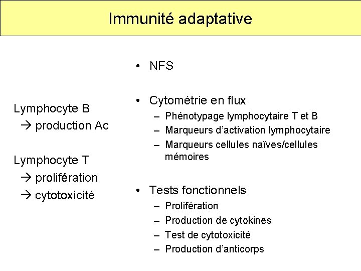 Immunité adaptative • NFS Lymphocyte B production Ac Lymphocyte T prolifération cytotoxicité • Cytométrie