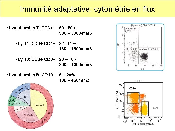 Immunité adaptative: cytométrie en flux • Lymphocytes T: CD 3+: 50 - 80% 900