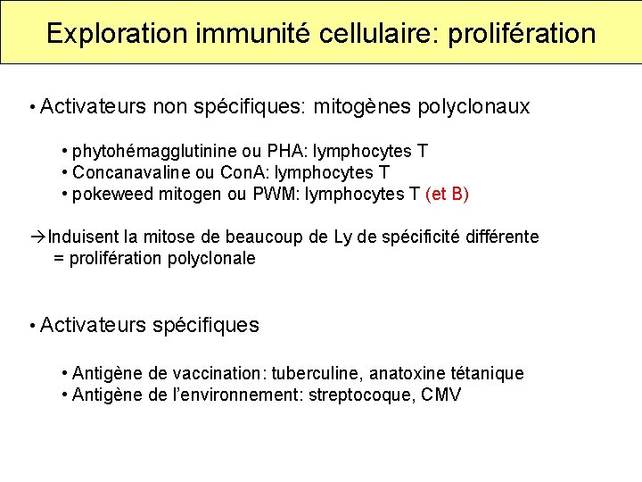 Exploration immunité cellulaire: prolifération • Activateurs non spécifiques: mitogènes polyclonaux • phytohémagglutinine ou PHA: