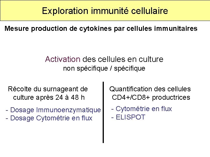 Exploration immunité cellulaire Mesure production de cytokines par cellules immunitaires Activation des cellules en