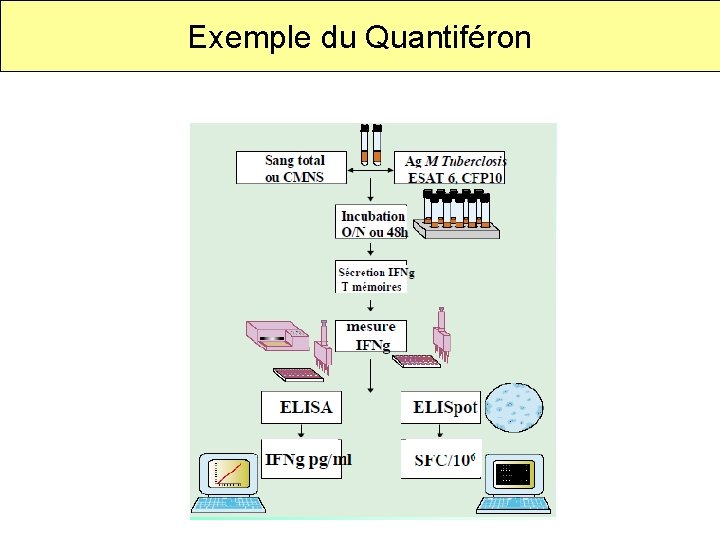 Exemple du Quantiféron 