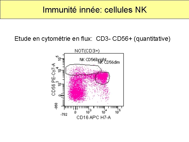 Immunité innée: cellules NK Etude en cytométrie en flux: CD 3 - CD 56+