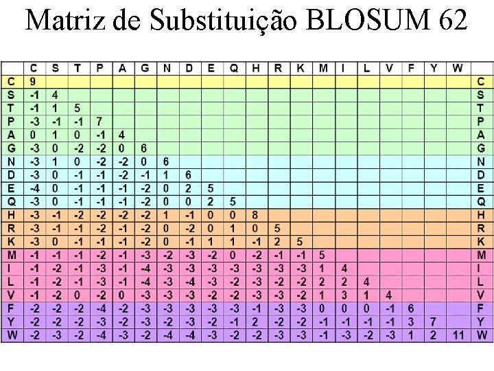 Matriz de Substituição BLOSUM 62 