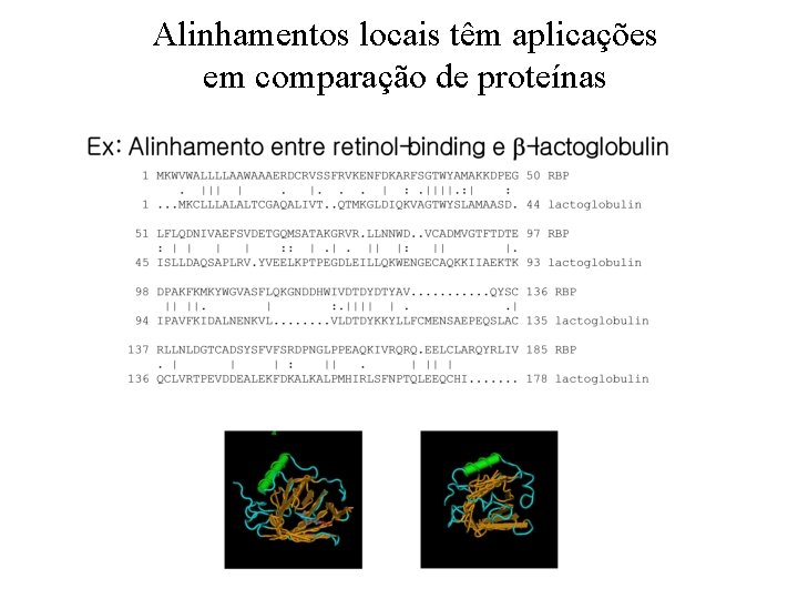 Alinhamentos locais têm aplicações em comparação de proteínas 