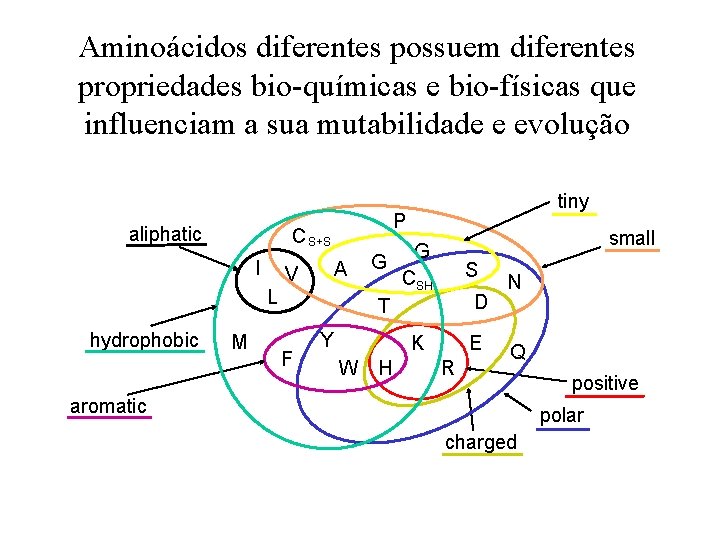 Aminoácidos diferentes possuem diferentes propriedades bio-químicas e bio-físicas que influenciam a sua mutabilidade e