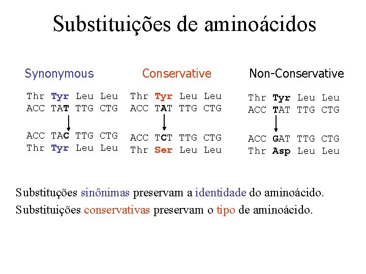 Substituições de aminoácidos Synonymous Thr ACC Tyr TAT Leu TTG Conservative Leu CTG ACC